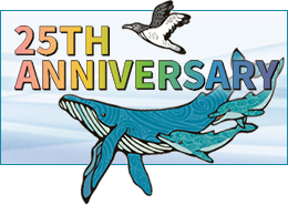 25TH ANNIVERSARY